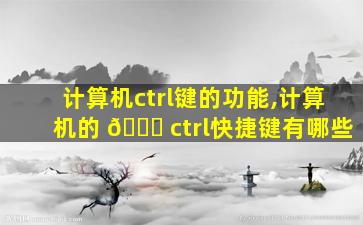 计算机ctrl键的功能,计算机的 💐 ctrl快捷键有哪些